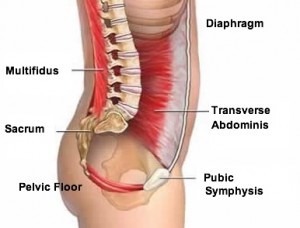 Core stomach online muscles